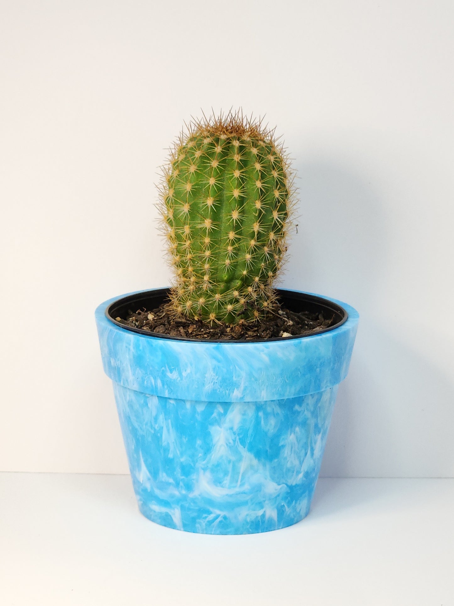 Nicola Garlick - Recycled Plastic Plant Pots