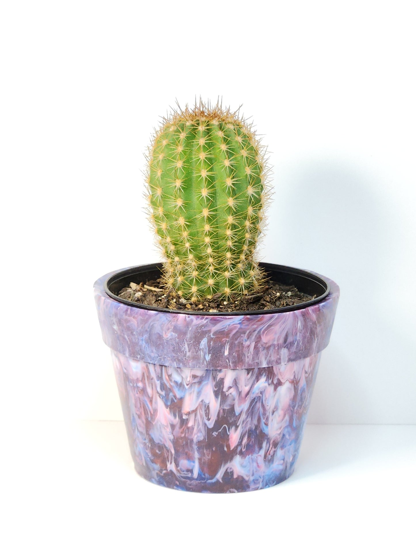 Nicola Garlick - Recycled Plastic Plant Pots