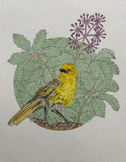 Kathleen Richens - New Zealand Native Bird Prints
