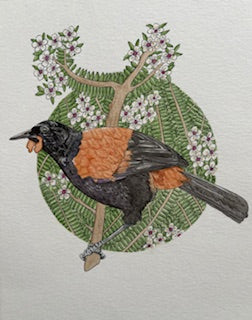 Kathleen Richens - New Zealand Native Bird Prints