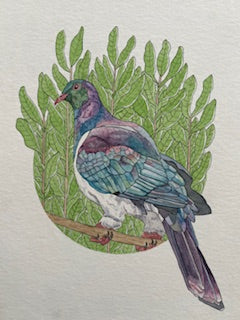 Kathleen Richens - New Zealand Native Bird Prints