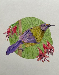 Kathleen Richens - New Zealand Native Bird Prints