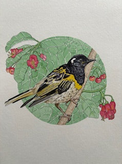 Kathleen Richens - New Zealand Native Bird Prints