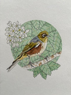 Kathleen Richens - New Zealand Native Bird Prints