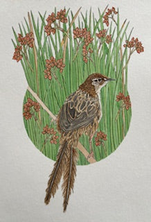 Kathleen Richens - New Zealand Native Bird Prints