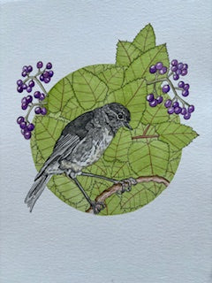 Kathleen Richens - New Zealand Native Bird Prints