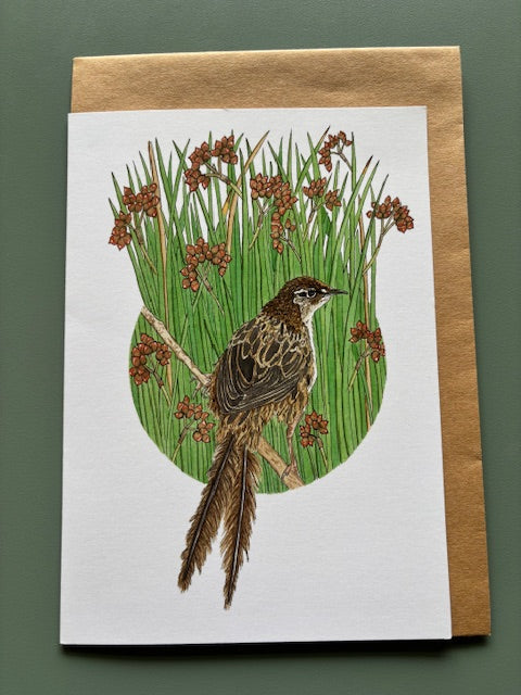 Kathleen Richens - New Zealand Native Bird Greeting Cards