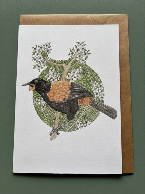 Kathleen Richens - New Zealand Native Bird Greeting Cards