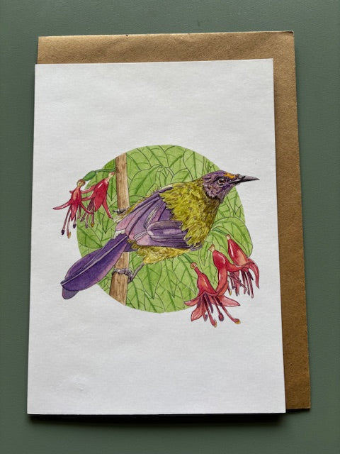 Kathleen Richens - New Zealand Native Bird Greeting Cards