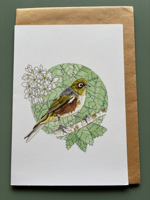 Kathleen Richens - New Zealand Native Bird Greeting Cards