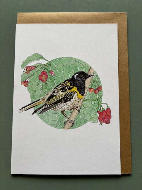 Kathleen Richens - New Zealand Native Bird Greeting Cards