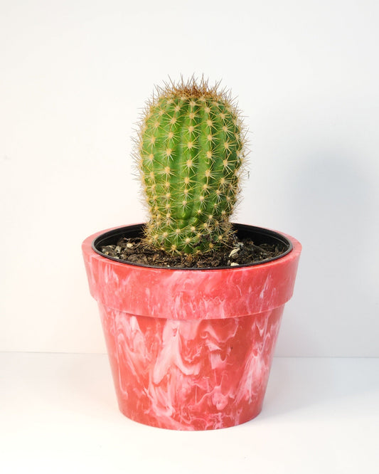 Nicola Garlick - Recycled Plastic Plant Pots