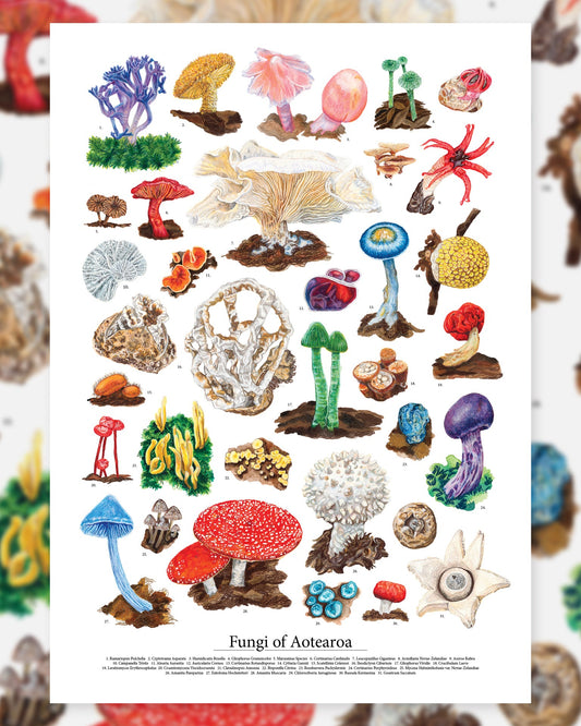 Lara Mumby-Croft: Fungi of Aotearoa Print