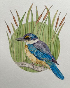 Kathleen Richens - New Zealand Native Bird Prints
