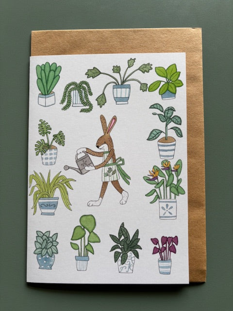 Kathleen Richens - Assorted Illustrated Greeting Cards