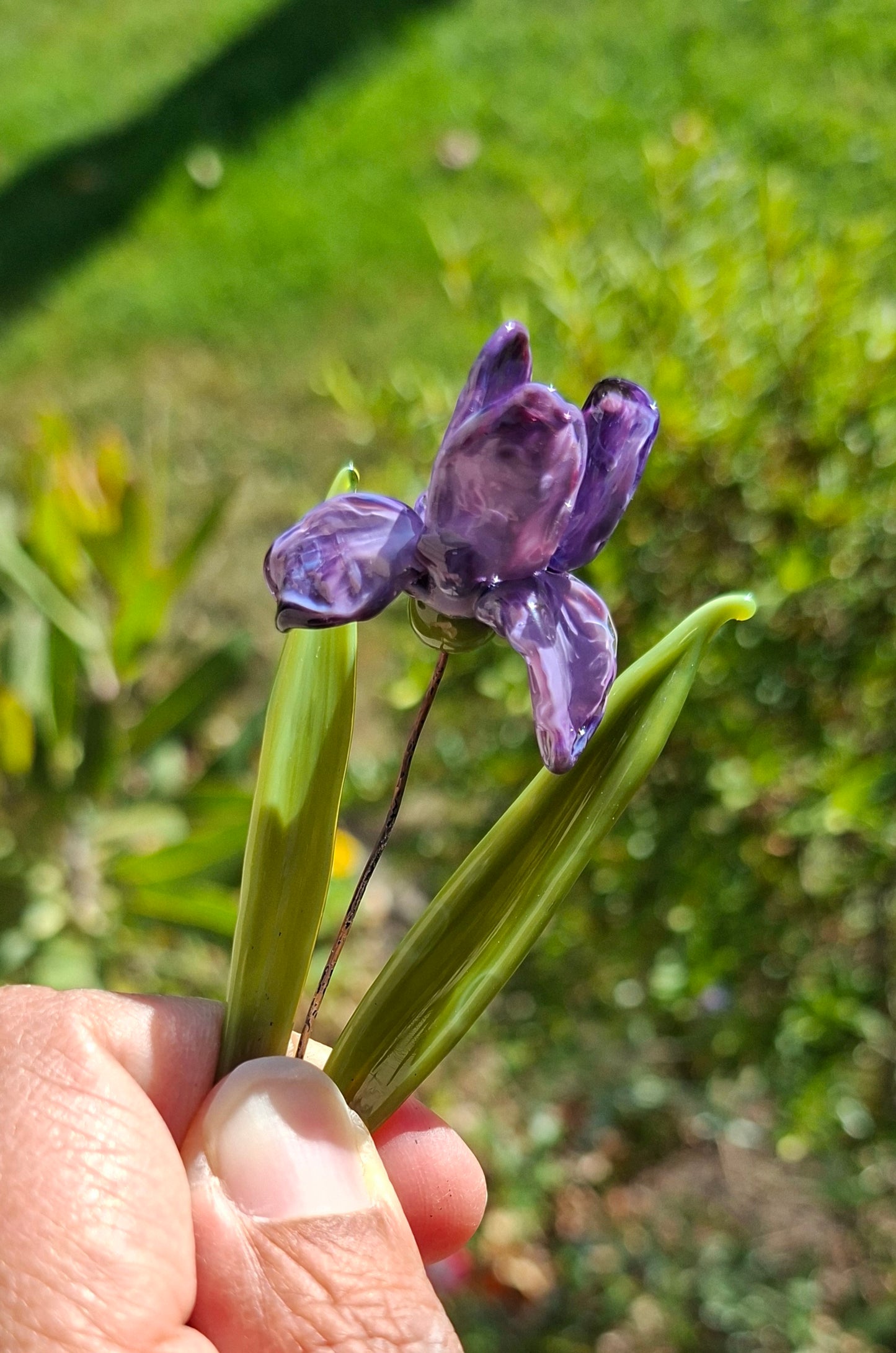 Selma Rainey - Glass Art Iris Mini Stems